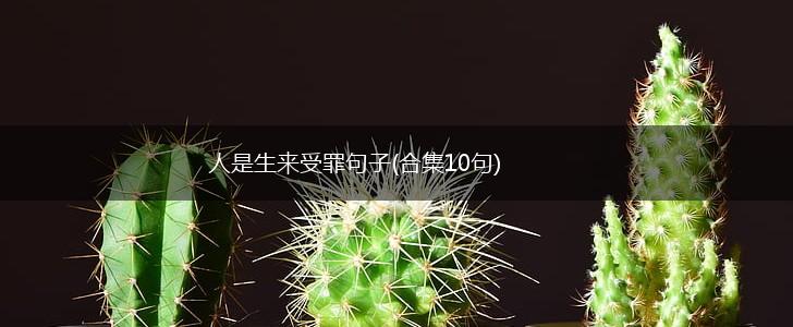 人是生来受罪句子(合集10句),第1张