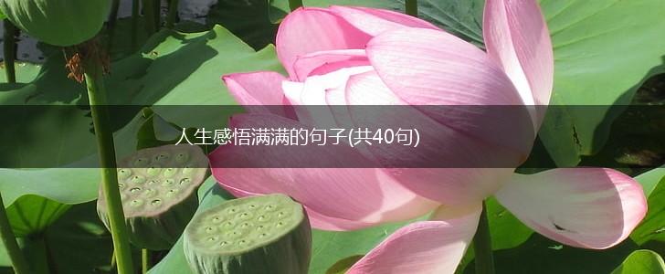 人生感悟满满的句子(共40句),第1张