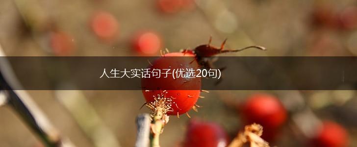 人生大实话句子(优选20句),第1张