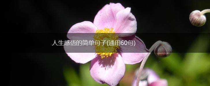 人生感悟的简单句子(通用60句),第1张