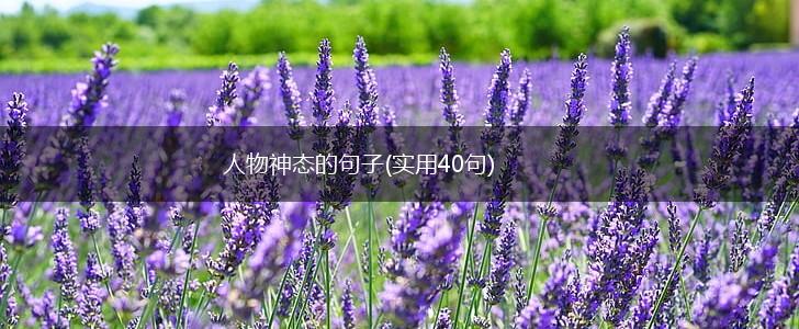 人物神态的句子(实用40句),第1张