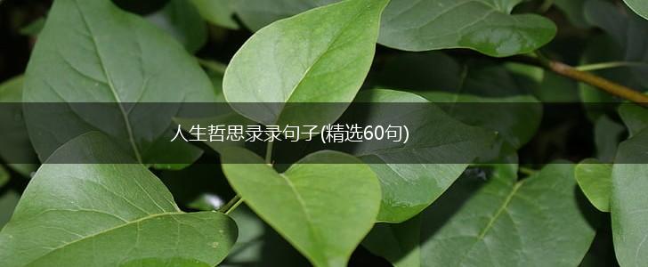 人生哲思录录句子(精选60句),第1张