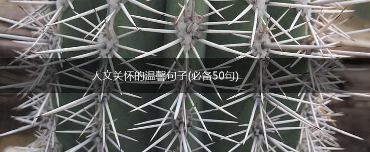 人文关怀的温馨句子(必备50句),第1张