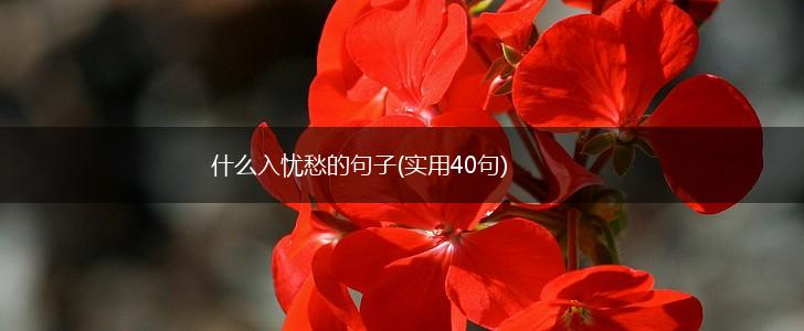 什么入忧愁的句子(实用40句),第1张