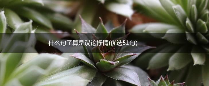 什么句子算是议论抒情(优选51句),第1张