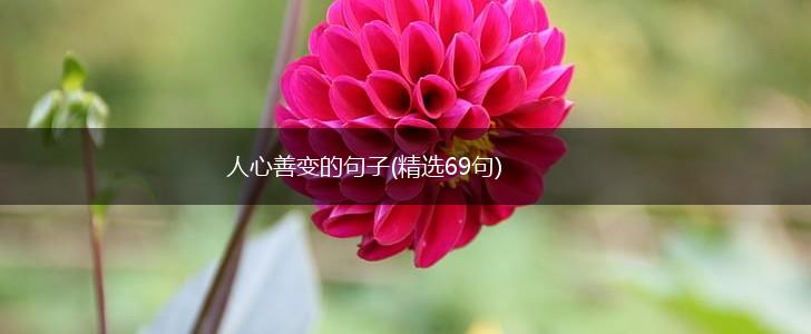 人心善变的句子(精选69句),第1张