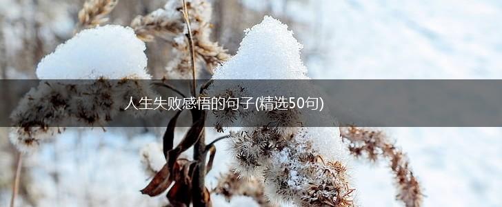 人生失败感悟的句子(精选50句),第1张