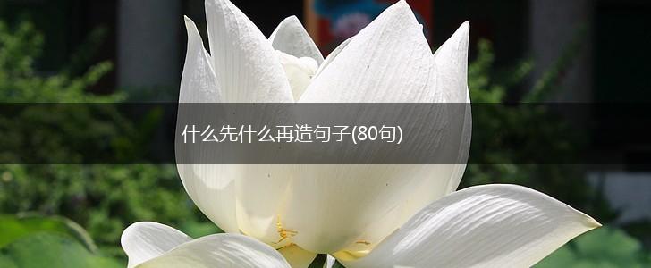 什么先什么再造句子(80句),第1张
