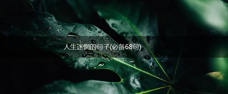 人生迷惘的句子(必备68句),第1张