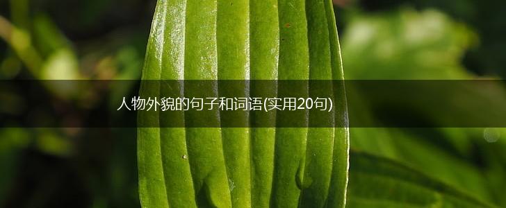 人物外貌的句子和词语(实用20句),第1张