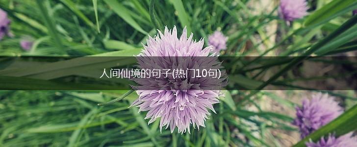 人间仙境的句子(热门10句),第1张