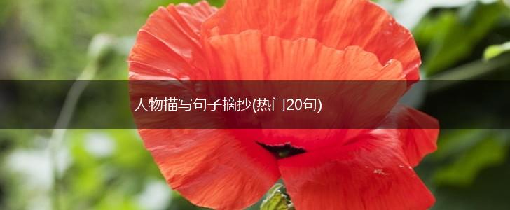 人物描写句子摘抄(热门20句),第1张