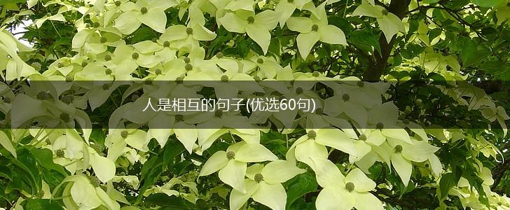 人是相互的句子(优选60句),第1张