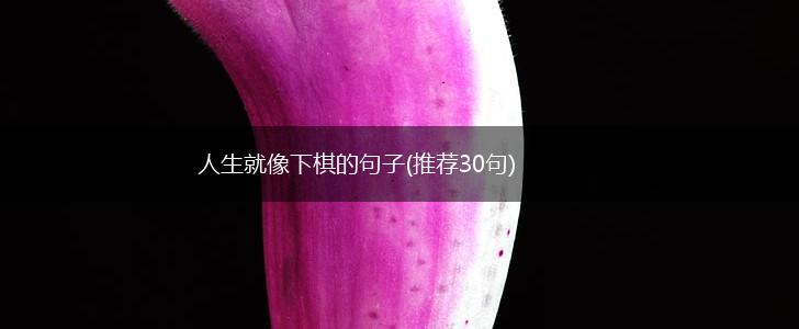 人生就像下棋的句子(推荐30句),第1张