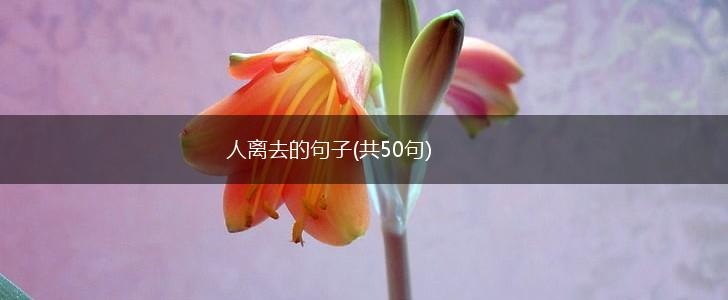 人离去的句子(共50句),第1张
