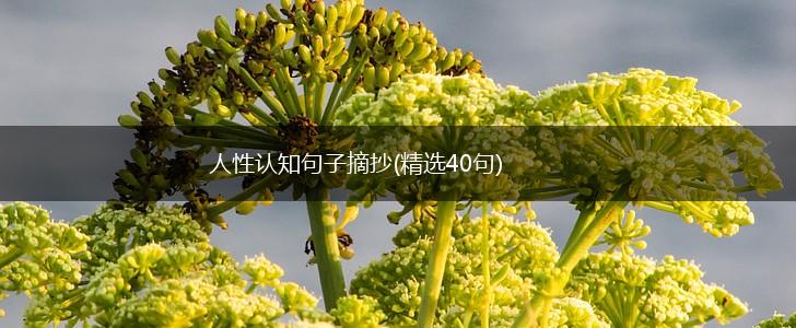 人性认知句子摘抄(精选40句),第1张