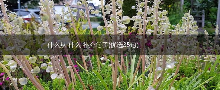 什么从 什么 补充句子(优选35句),第1张