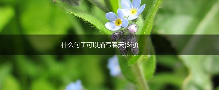 什么句子可以描写春天(6句),第1张