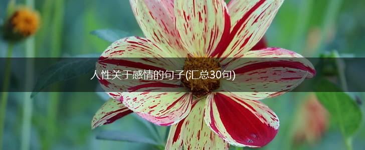 人性关于感情的句子(汇总30句),第1张