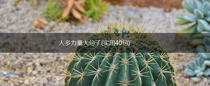 人多力量大句子(实用40句),第1张
