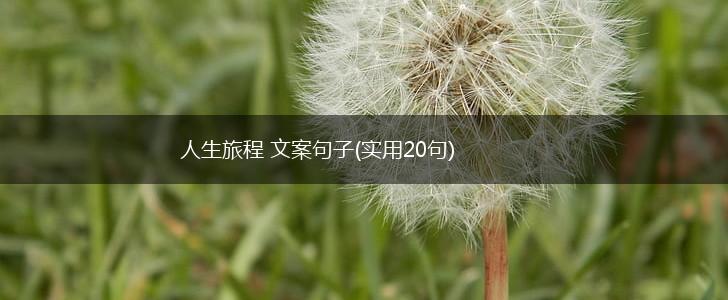 人生旅程 文案句子(实用20句),第1张