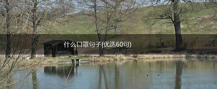 什么口罩句子(优选60句),第1张