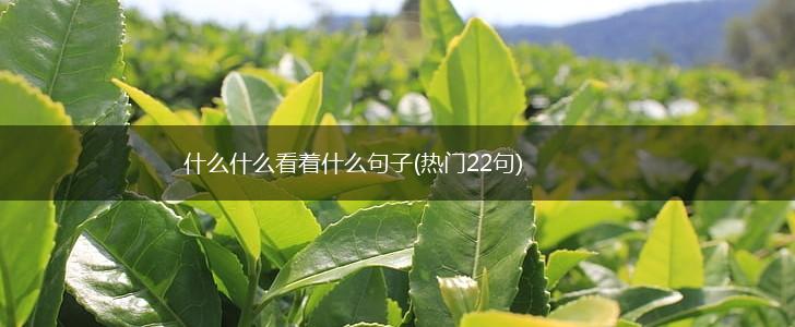 什么什么看着什么句子(热门22句),第1张