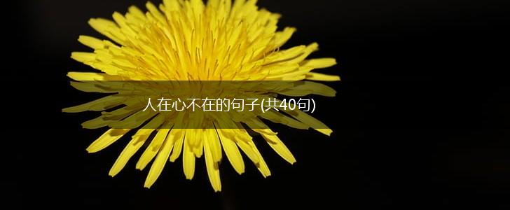 人在心不在的句子(共40句),第1张