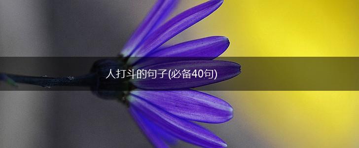 人打斗的句子(必备40句),第1张