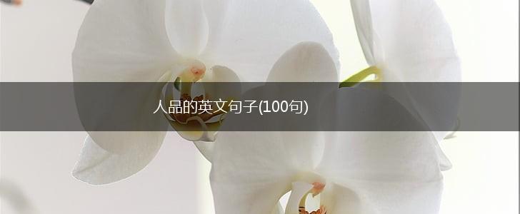 人品的英文句子(100句),第1张