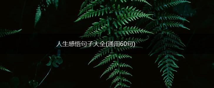 人生感悟句子大全(通用60句),第1张
