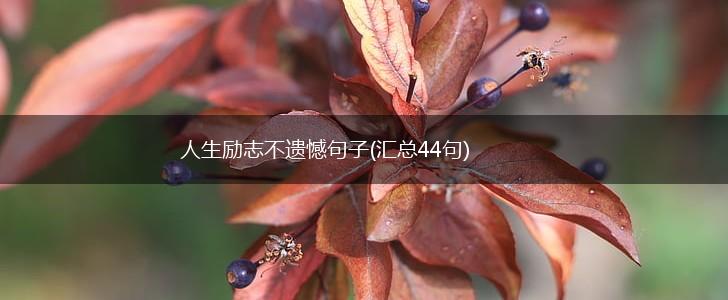 人生励志不遗憾句子(汇总44句),第1张