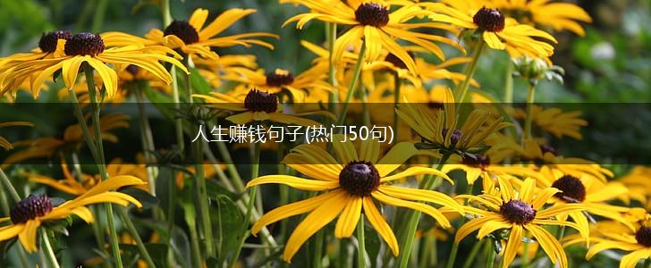 人生赚钱句子(热门50句),第1张