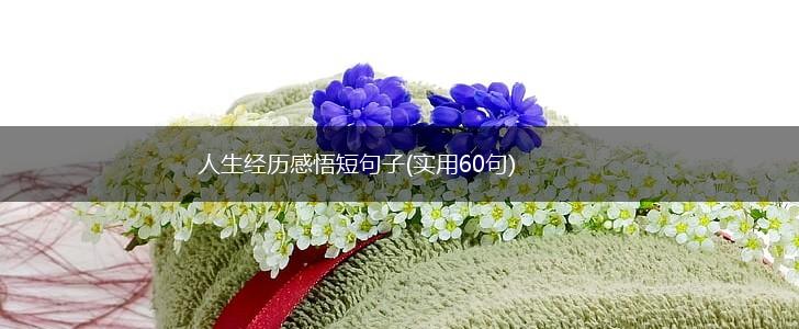 人生经历感悟短句子(实用60句),第1张