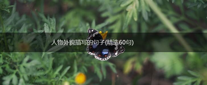 人物外貌描写的句子(精选60句),第1张