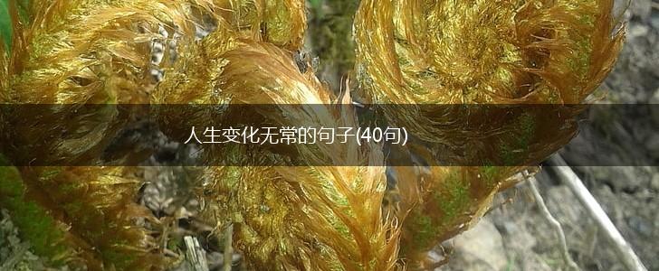 人生变化无常的句子(40句),第1张