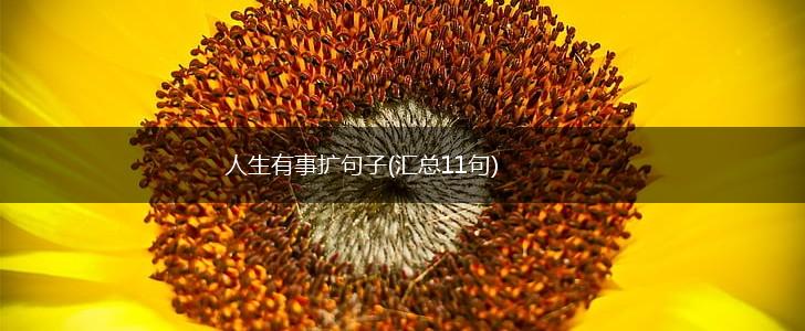 人生有事扩句子(汇总11句),第1张