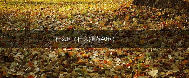 什么句子什么(推荐40句),第1张