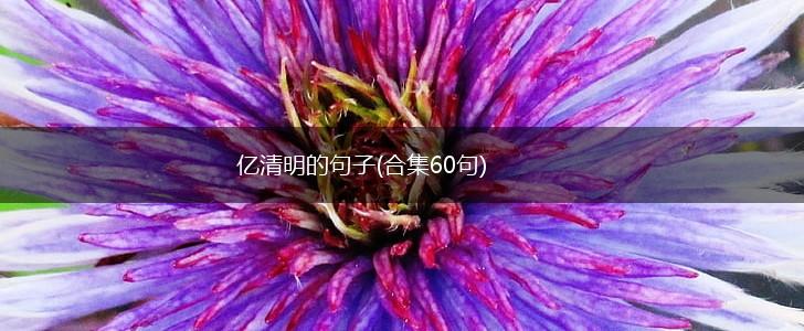 亿清明的句子(合集60句),第1张