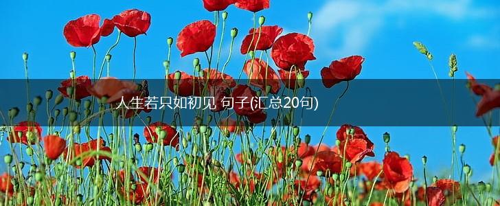 人生若只如初见 句子(汇总20句),第1张