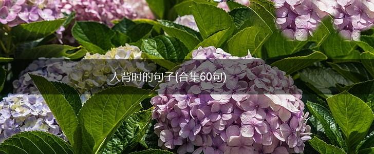 人背时的句子(合集60句),第1张
