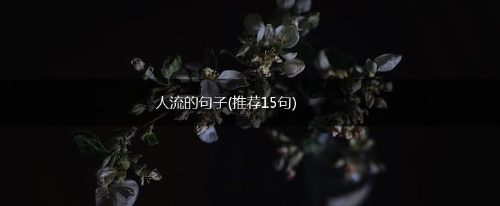 人流的句子(推荐15句),第1张