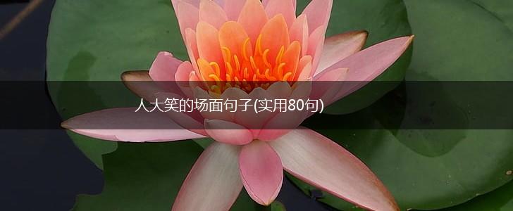 人大笑的场面句子(实用80句),第1张