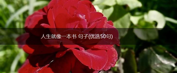 人生就像一本书 句子(优选50句),第1张