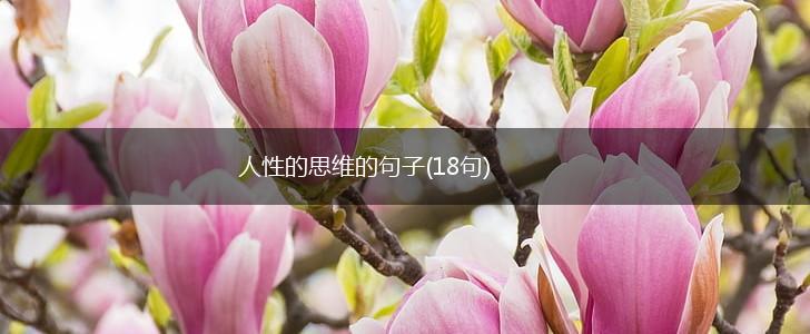 人性的思维的句子(18句),第1张
