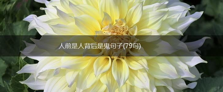 人前是人背后是鬼句子(79句),第1张