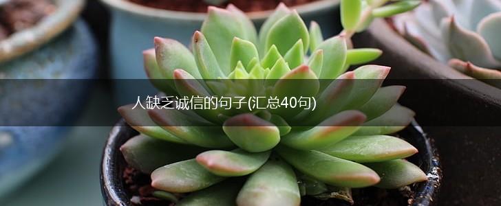 人缺乏诚信的句子(汇总40句),第1张