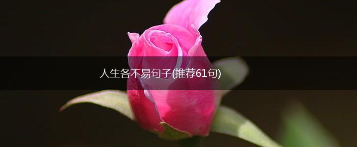 人生各不易句子(推荐61句),第1张