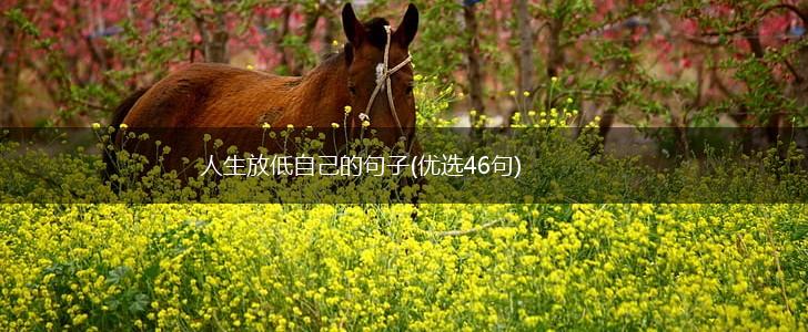人生放低自己的句子(优选46句),第1张