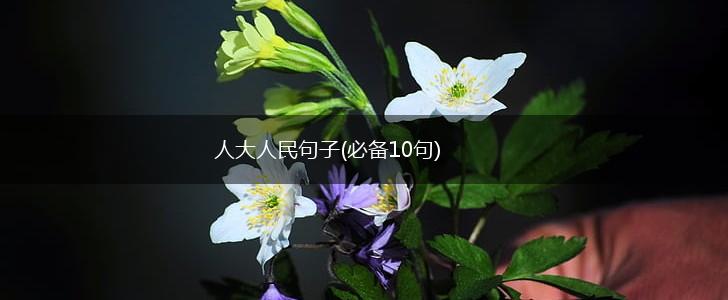 人大人民句子(必备10句),第1张